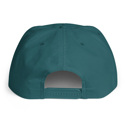 Atlantic blue DC Surf Cap, back view.